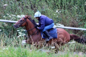 Varsovian - 10/1 chance at Kempton