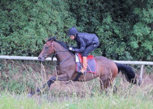 Eirene - Listed winner at Newbury