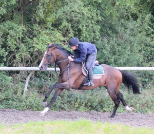 Fighting Temeraire - runs at Yarmouth
