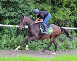 Roman Legion - 25/1 at Yarmouth