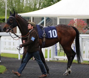 Artscape - course and distance winner