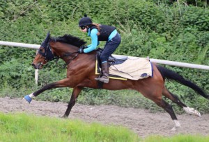 Harlequin Striker - runs at Epsom (4.15pm)