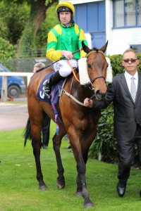 Stake Acclaim - Ayr Gold Cup entry