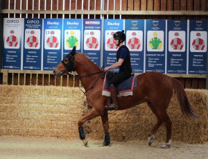 Tropics - runs at Kempton