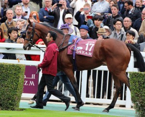 Superstar Enable