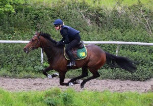 Incredible Dream - bids for third win this year