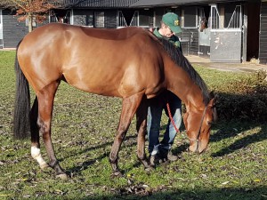 Villette - winner of two from four