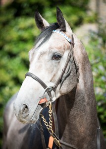 Don't Look Down: Aussie Rules x Miss Katmandu