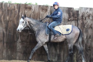 Don't Look Down in the lunging pen