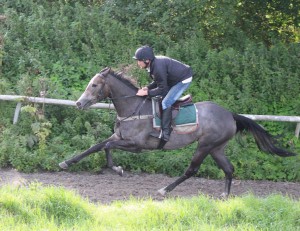 Angel Of The South - Lingfield winner