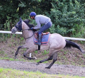 Cappananty Con - won at Chelmsford