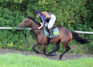 Dors Law - well supported at Chelmsford