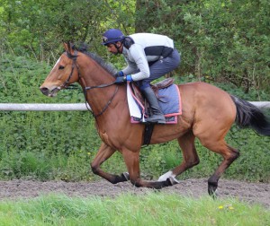 Firmdecisions - supported at Chelmsford