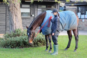 Lucymai - winner on seasonal reappearance