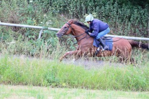Varsovian - runs at Wolverhampton