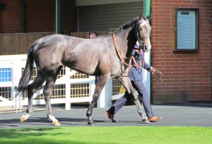 Angel Of The South - tough task at Chelmsford