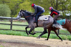Don't Look Down (nearside) upsides