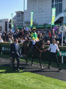 Eirene being led into Newmarket's Winner's Enclosure