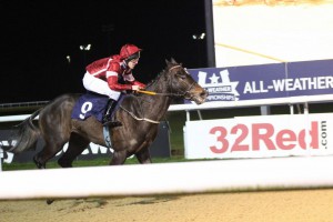 Spring Romance - favourite at Lingfield