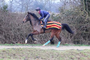 Olive Mabel - interesting  runner at Yarmouth