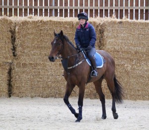 Eljaddaaf - steps up to a mile at Chelmsford