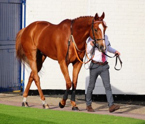 Tropics - course and distance winner at Chelmsford