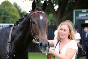 Spring Romance - back at Wolverhampton