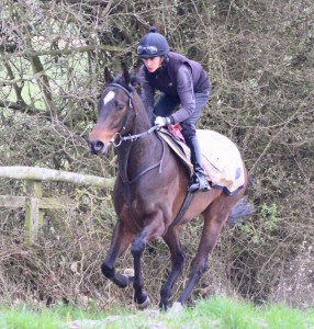 Tangramm - back at favourite course, Wolverhampton