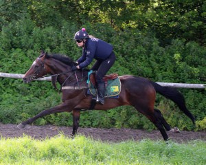 Blaze Of Hearts - trip should suit at Nottingham