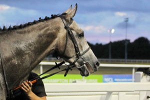 Don't Look Down in the Winner's Enclosure