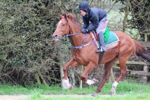 Flaming Spear - big win at Goodwood