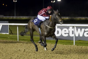 Spring Romance winning on handicap debut