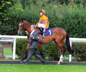 Celtic Chieftain - runs at Leicester (4.20pm)