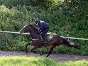 Blaze Of Hearts - runs at Nottingham