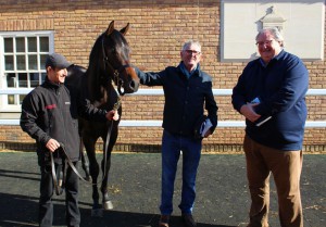 Garswood colt with Solario Racing owners