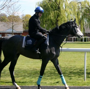 Lothario - runs at Windsor in Solario's race