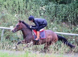 Eirene - supported at Donny