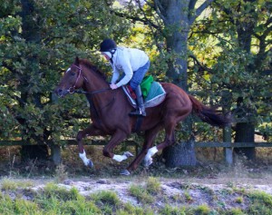 Flaming Spear - good chance at Kempton