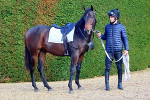 Garswood colt with Jack Duern (orig) 10 Nov 18