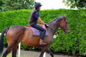 Lucymai - runs in a Listed race at Lingfield