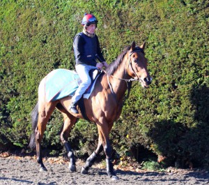 Dark Magic - runs at Kempton, 7.15