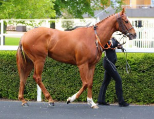Kadrizzi - bids to end losing run