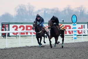 Spring Romance (far side) works with Lancelot Du Lac at Kempton