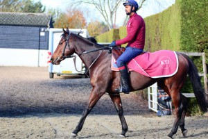 Shankill Star -  has her first run for the yard