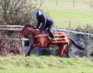 Sir Prize - back-to-back winner at Kempton