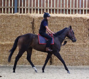 Tangramm - big price at Kempton