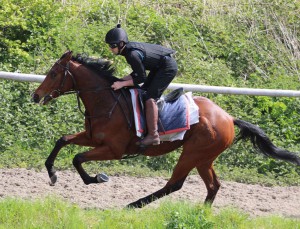 Dark Magic - runs at Lingfield