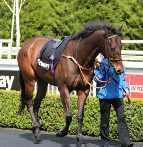 Lancelot Du Lac - runs at Wolves (6.10pm)