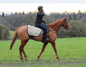 Red Cossack - favourite at Chelmsford