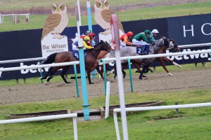 Spring Romance (far side) finishing fourth